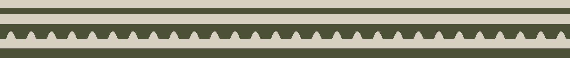 Decorative Border in Olive